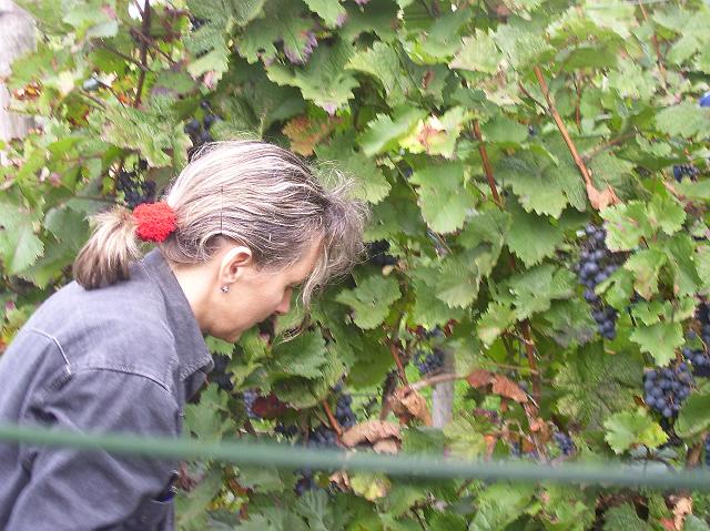 100_0992.jpg