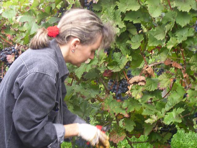 100_0993.jpg