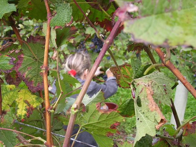 100_0997.jpg