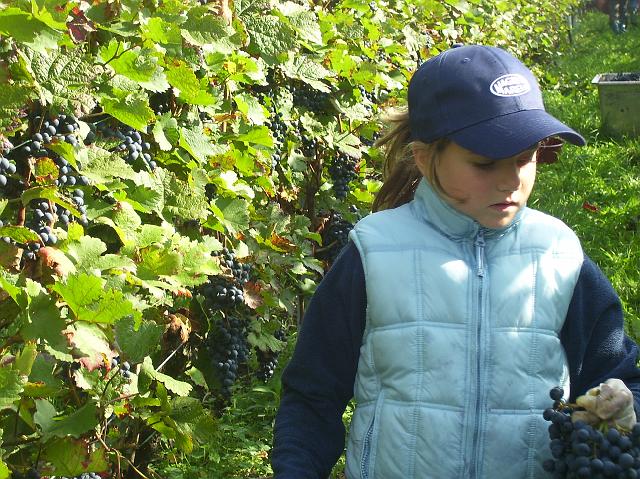 100_1029.jpg