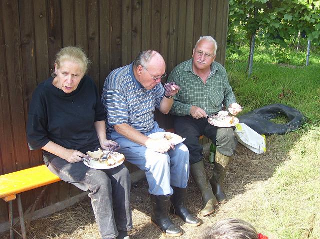 100_1041.jpg