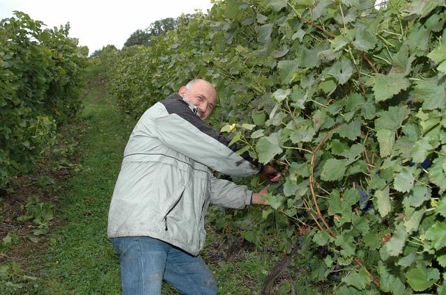 DSC_3959.JPG - Ewald Kiss