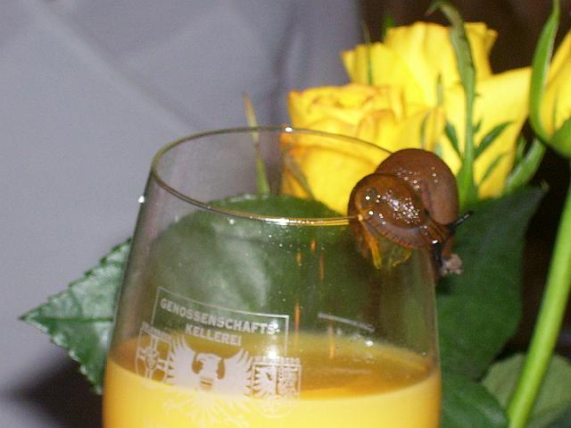 100_1838.jpg